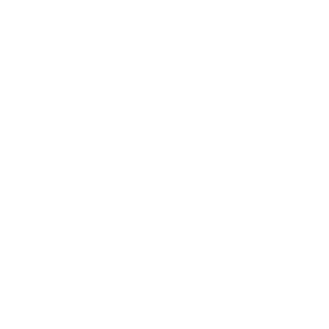 VietTech Logo